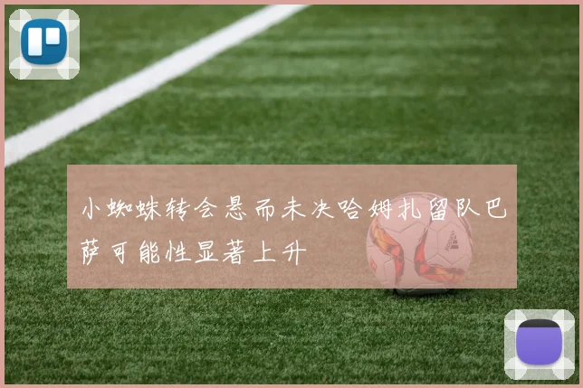小蜘蛛转会悬而未决哈姆扎留队巴萨可能性显著上升