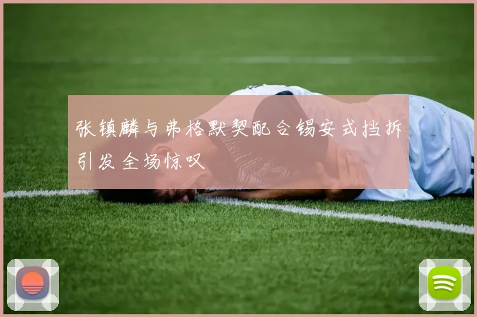 张镇麟与弗格默契配合锡安式挡拆引发全场惊叹