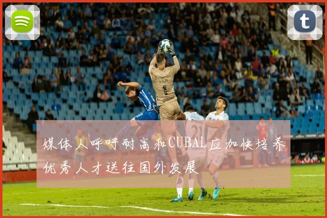 媒体人呼吁耐高和CUBAL应加快培养优秀人才送往国外发展